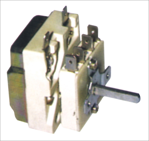 טרמוסטט 1PH 50-300°c +